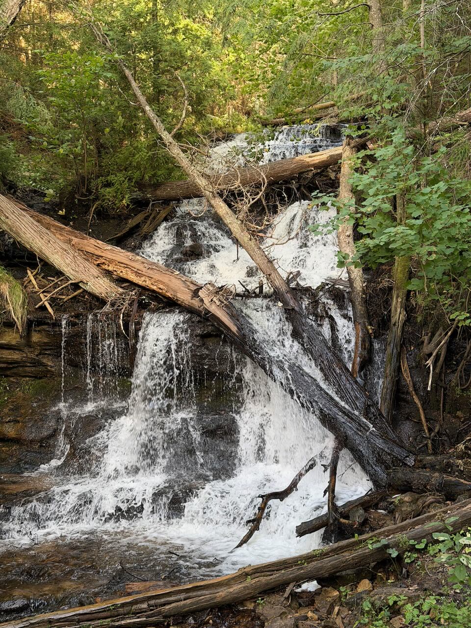 Wagner Falls over mossy rock