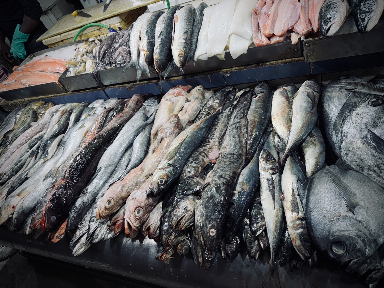 Atmospheric landscape photography