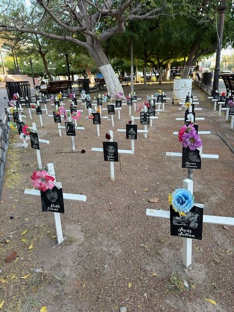 White crosses memorial in Plaza Zaragoza, Hermosillo